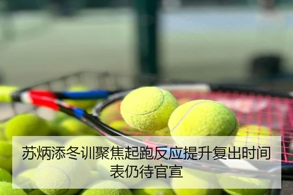 苏炳添冬训聚焦起跑反应提升复出时间表仍待官宣